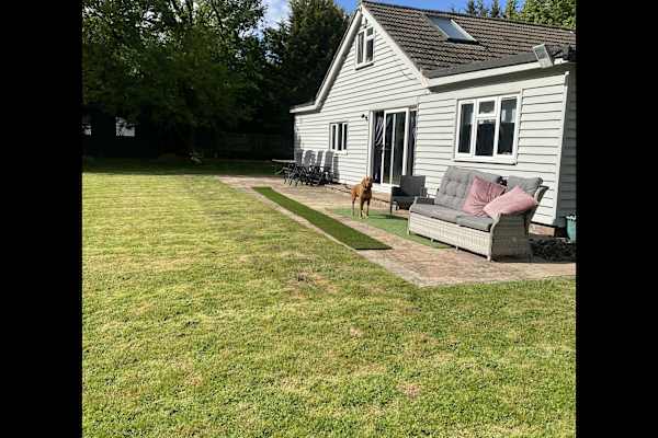 House sit in Brentwood, United Kingdom