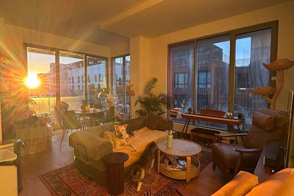 House sit in Brooklyn, NY, US