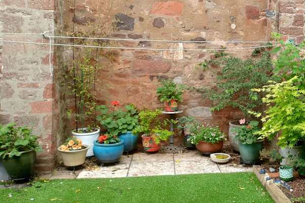 House sit in Dunbar, United Kingdom