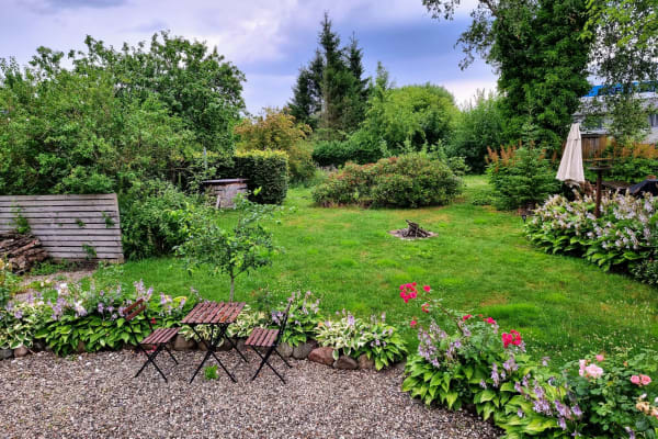 House sit in Århus, Denmark