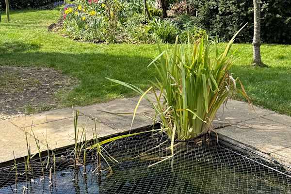 House sit in Melton Mowbray, United Kingdom