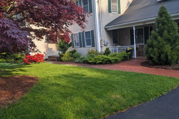 House sit in Boston, MA, US
