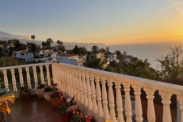 House sit in Sauzal, Spain