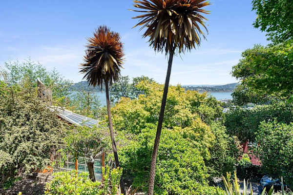 House sit in Sausalito, CA, US