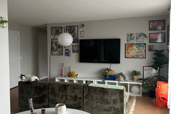 House sit in Calgary, AB, Canada