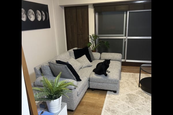 House sit in Tokyo, Japan
