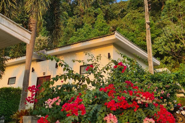 House sit in Ko Lanta, Thailand