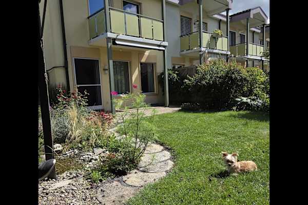 House sit in Bern, Switzerland