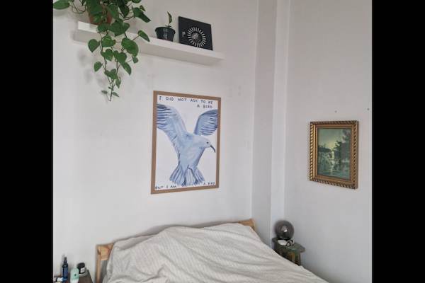 House sit in Berlin, Germany