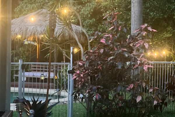 House sit in Caloundra, QLD, Australia