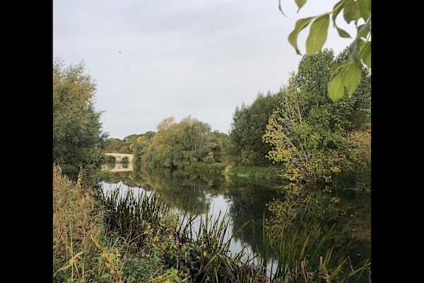 House sit in Peterborough, United Kingdom