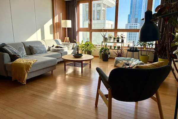 House sit in Busan, South Korea