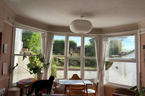 House sit in Brighton, United Kingdom