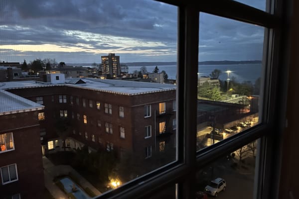 House sit in Tacoma, WA, US