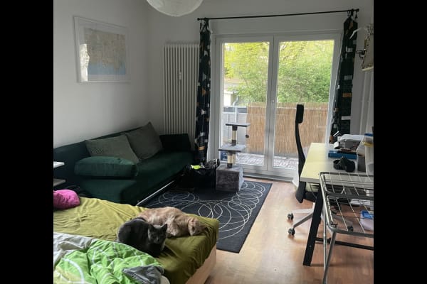 House sit in Berlin, Germany