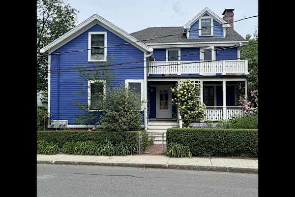 House sit in Cambridge, MA, US