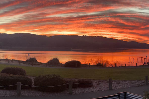 House sit in Benicia, CA, US