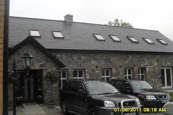 House sit in Nenagh, Ireland