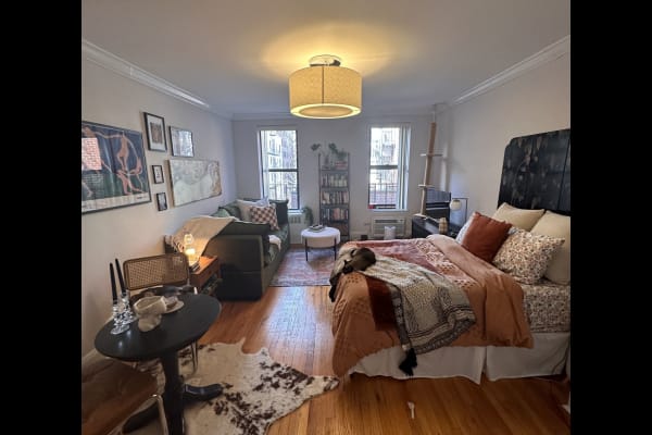 House sit in New York City, NY, US