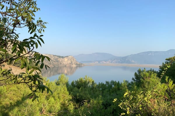 House sit in Dalyan, Turkey