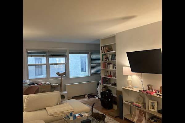 House sit in New York City, NY, US