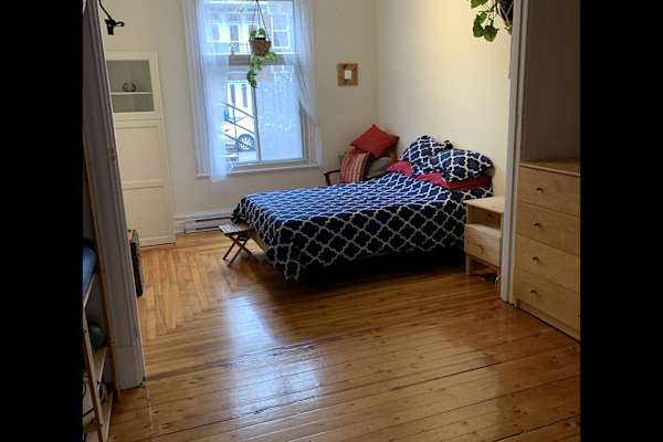 House sit in le Plateau, QC, Canada