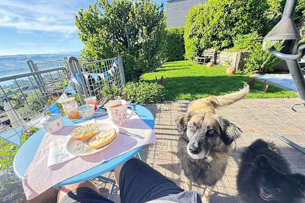 House sit in Beinwil, Switzerland