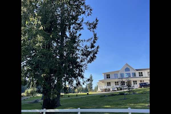 House sit in Port Orchard, WA, US