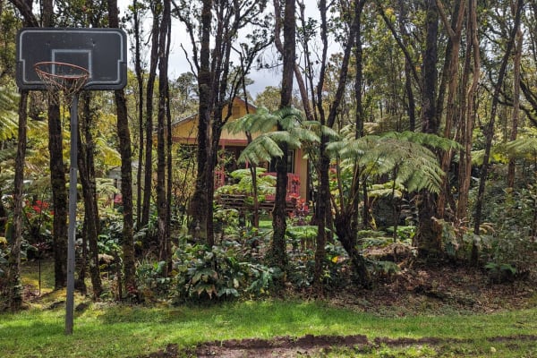 House sit in Volcano, HI, US