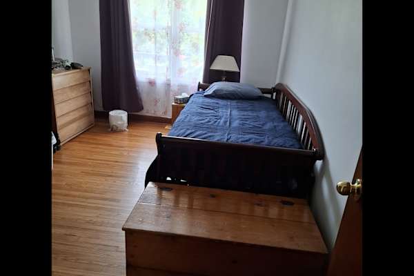 House sit in Kingston, ON, Canada