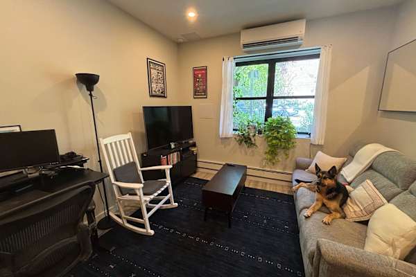 House sit in Brooklyn, NY, US