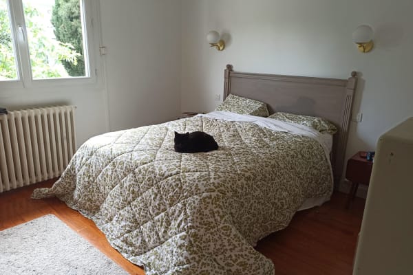 House sit in Toulouse, France