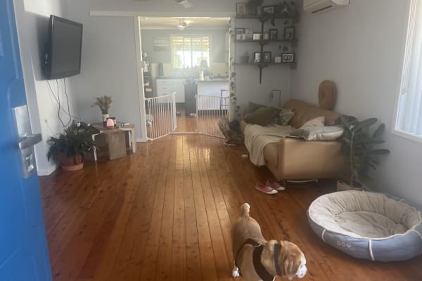 House sit in Newcastle, NSW, Australia