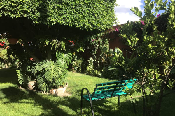 House sit in San Miguel de Allende, Mexico