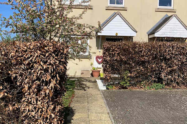 House sit in Stroud, United Kingdom