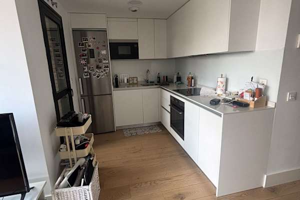 House sit in Madrid, Spain
