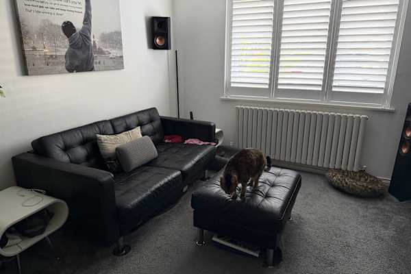 House sit in Swindon, United Kingdom