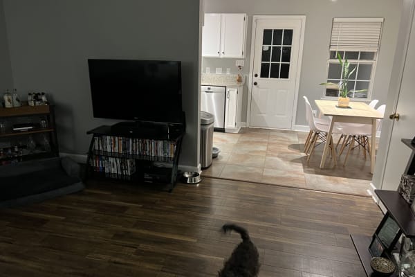 House sit in Charlotte, NC, US
