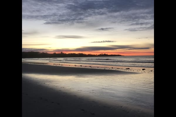 House sit in Portland, ME, US