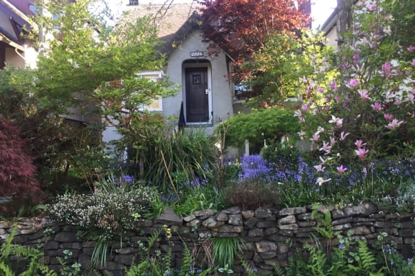 House sit in Vancouver, BC, Canada