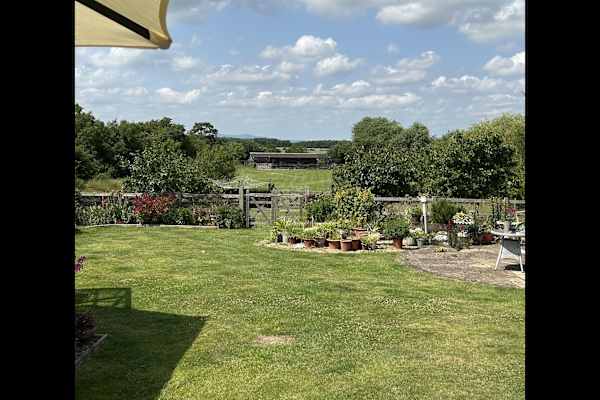 House sit in Pershore, United Kingdom