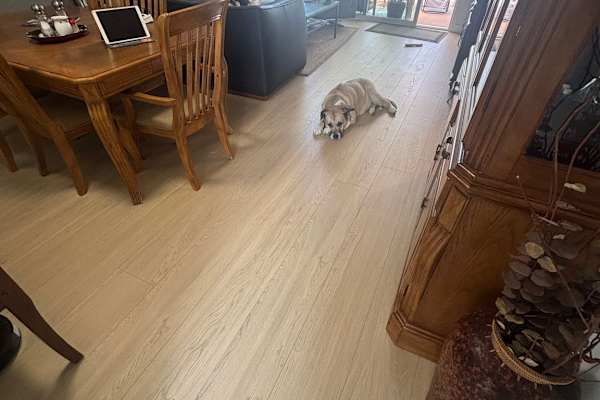 House sit in Oxnard, CA, US
