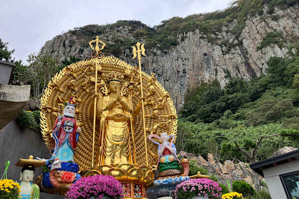 House sit in Seogwipo, South Korea