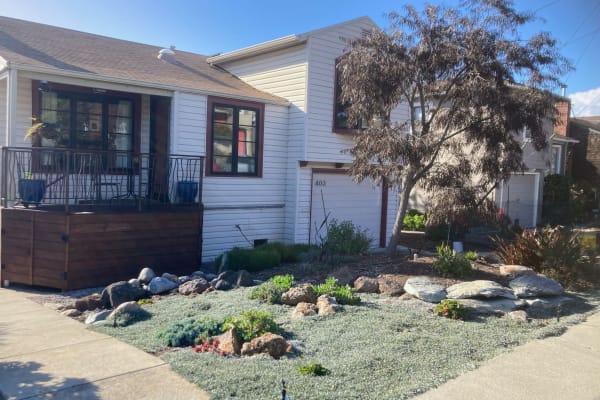 House sit in El Cerrito, CA, US