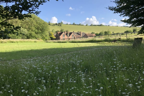 House sit in Streatley, United Kingdom