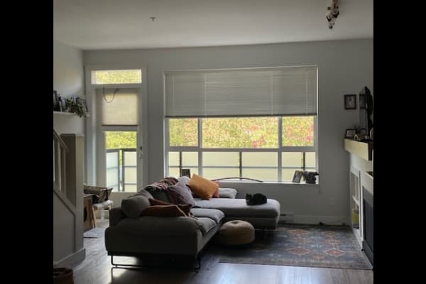 House sit in Squamish, BC, Canada