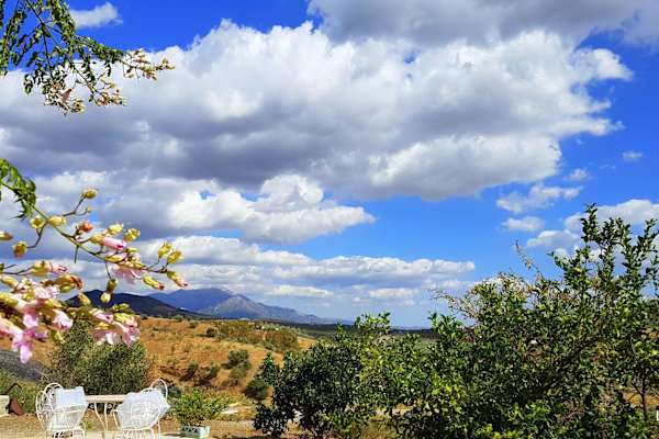 House sit in Ríogordo, Spain