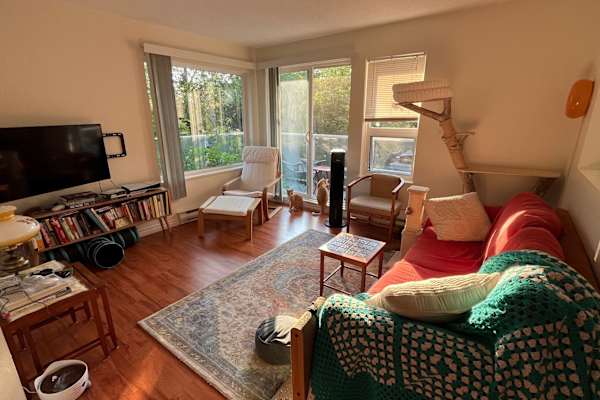 House sit in Victoria, BC, Canada