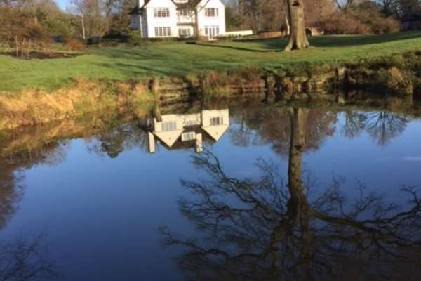 House sit in Lewes, United Kingdom