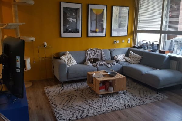 House sit in Amsterdam, Netherlands